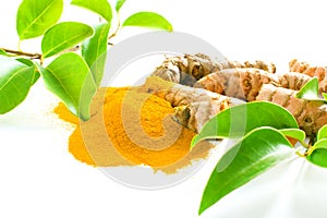Turmeric roots and powder isolated on white