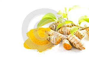 Turmeric roots and powder isolated on white