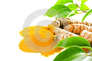 Turmeric roots and powder isolated on white