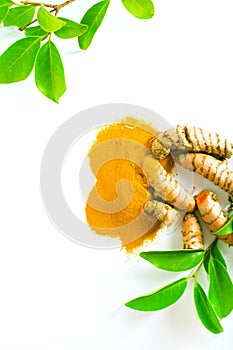 Turmeric roots and powder on white