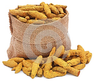 Turmeric in a sack