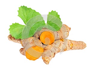 Turmerics with Thankuni leaves