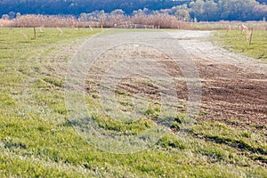 Turn of atv race track. Dust and grass