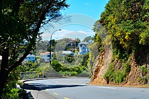 Turn of a mountain road in hilly suburbs of Wellington, New Zealand. Cozy villa houses deep in lush green