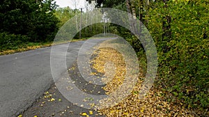 The turn of the road autumn woods the fallen leaves along the roadside.