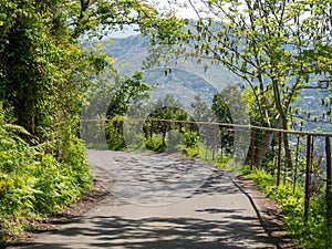 The turn of the road on the mountain. Narrow asphalt road among trees. Nature