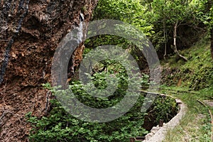 the turn of the train railways in the forest, Zachlorou, Achaia, Greece