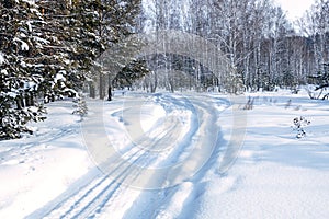 Turn of the winter road in the forest, deep snow and traces of passing cars
