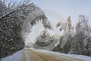 Turn of a winter road landscape