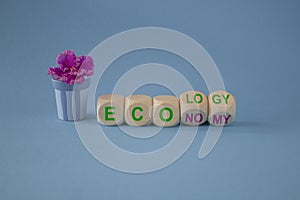 Turned wooden cubes and changes the green word economy and ecology. Beautiful blue background. Pot with flowers. Business and