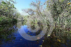 Turner River in Big Cypress National Preserve, Florida.