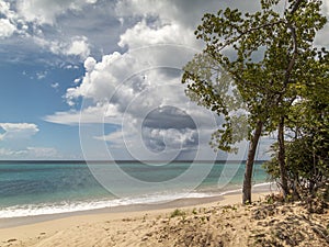 Turners Beach Antigua