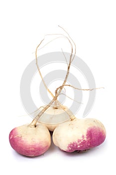 Turnip