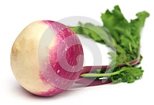 Turnip