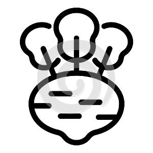 Turnip edible icon outline vector. Fresh kohlrabi consume