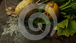 Turnip with haulm on the black rustic background