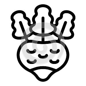 Turnip kohlrabi icon outline vector. Fresh beetroot ingredient