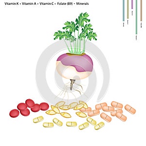 Turnip with Vitamin K, A, C and B9