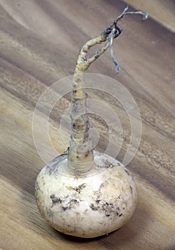 Turnip on a wooden table