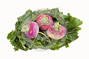 Turnips on a Bed of Greens