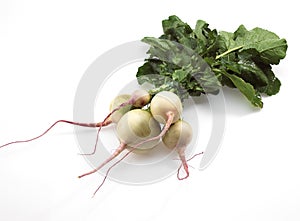 Turnips, brassica rapa, Vegetable against White Background photo