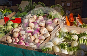 Turnips, cabbages, fennels and pumpkins at sunny winter market