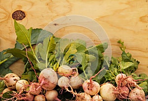 Turnips from the Farmers` Market