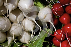 Turnips and Radishes  836652 photo