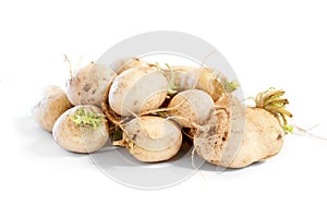 Turnips on white