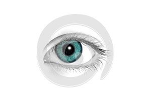 Turqoise eye