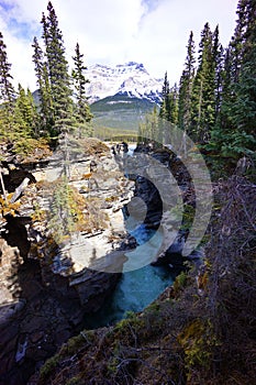 Turqouise water at Athabasca Falls photo