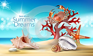 turquoise background with summer sandy beach, seashells, pebbles, starfish, crab and coral