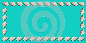 Turquoise blue background with a frame of shells with copy space in the center. for marine, beach and summer motifs