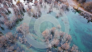 Turquoise blue mirror water with trees in the lake