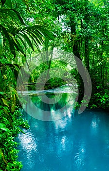 Turquoise blue water of the Celeste River photo