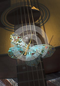 Turquoise butterfly on strings of acoustic guitar
