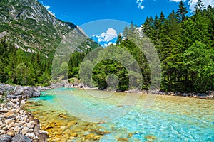 Turquoise color Soca river in the green forest, Bovec, Slovenia