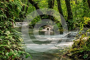 Turquoise color of water in the summer on the river Janj