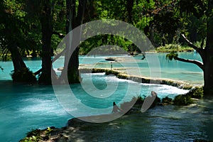 Waterfalls and Rivers in La Huasteca Potosina Mexico photo