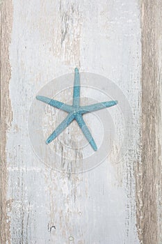 Turquoise Decorative Starfish On Driftwood