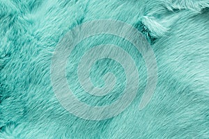 Turquoise dyed rabbit fur Texture, animal skin background