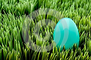 A turquoise Easter egg on green grass