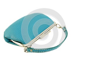 Turquoise feminine purse