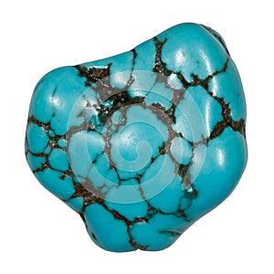 Turquoise Gem photo