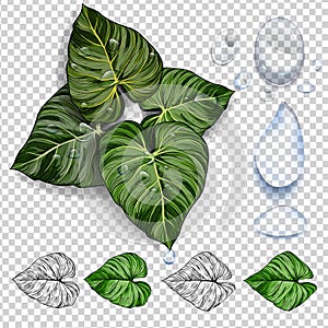 Turquoise and green tropical leaves. Seamless graphic design with amazing palms. Fashion, interior, wrapping, packaging suitable.