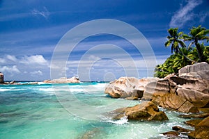 Turquoise Indian Ocean  coconut palms  and rocks in the Seychelles islands