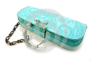 Turquoise ladies purse