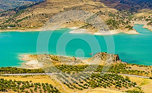 Turquoise lake with gold grass meadows with a car on a road and olive trees