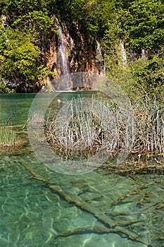 Turquoise lake in Plitvice national park - Croatia