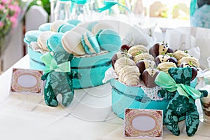 Turquoise macarons. Wedding cakes and deserts